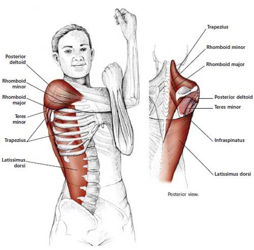 Stretching Frozen Shoulder Example.