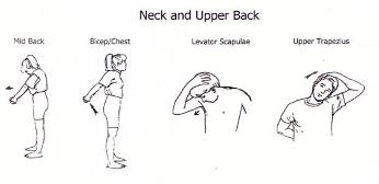 Neck and Upper Back Stretches